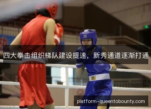 四大拳击组织梯队建设提速，新秀通道逐渐打通